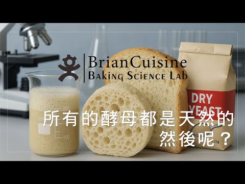 所有的酵母都是天然的，但是？《不萊嗯的烘焙食譜》