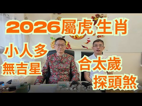 2026屬虎生肖運程 / 無吉星,祇有空星 / 合太歲 / 探頭煞要千萬小心 /