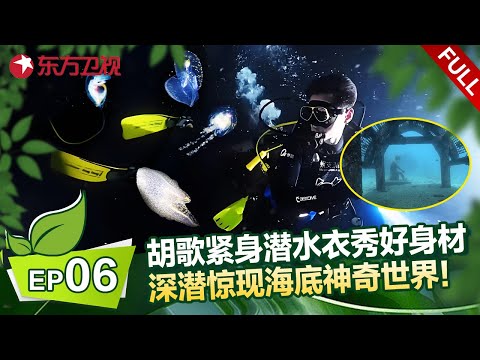 EP06：胡歌紧身潜水衣秀好身材，深潜惊现海底神奇世界，太神奇了！#刘涛 #胡歌 #一路前行 FULL