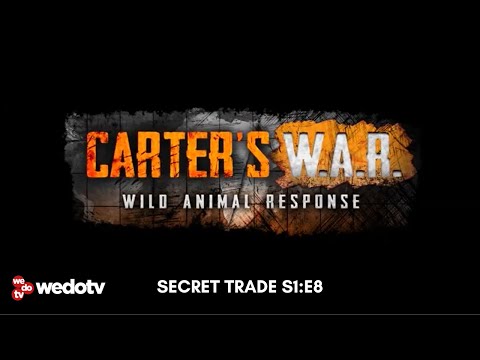 Secret Trade | Carter's W.A.R. S1/E8 | wedotv