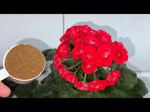 ПОДСЫПАЛА 1 РАЗ и ИЗБАВИЛАСЬ ОТ МОШЕК НАВСЕГДА!