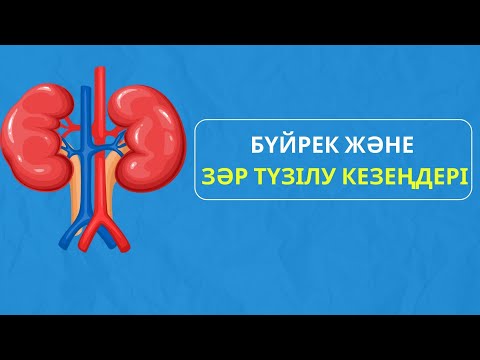 БҮЙРЕК ЖӘНЕ ЗӘР ТҮЗІЛУ КЕЗЕҢДЕРІ