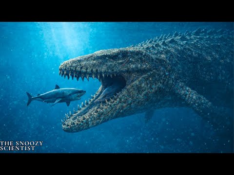 Why Prehistoric Sea Was An Absolute Nightmare