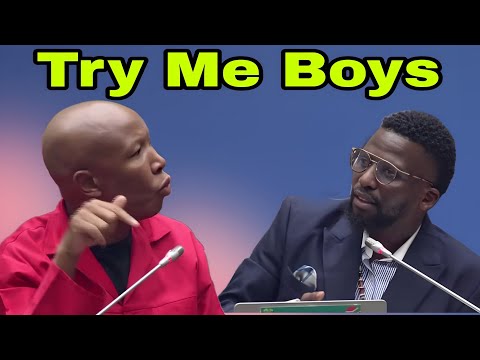 Julius Malema vs Ashley Sauls. Try me boys, on the issue of Kohler Barnard