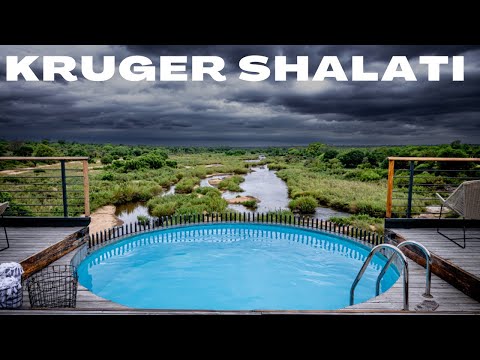 KRUGER SHALATI | TRAIN ON THE BRIDGE | KRUGER MAGIC