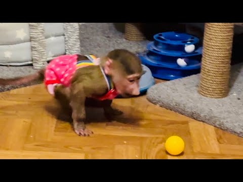 Посмотрите какие Маня и Степа КРАСАВЧИКИ в комбинезончиках, ВЕЧЕР УДАЛСЯ)))