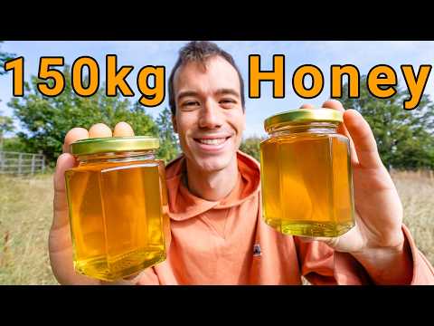 Harvesting 150kg of runny summer honey - My record harvest!