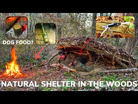 Solo Overnight Building a Natural Shelter With a Pocket Knife and a Can of Mystery Meat in the Woods