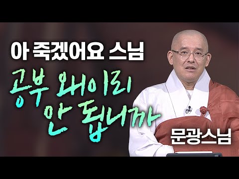 아 죽겠어요 스님! 공부 왜 이리 안 됩니까? 문광스님 曰 "마구니가 와서 그럽디다"│'문광스님' 편🙏 [명법문만 모았다! 명중명💡]#문광스님 #참선 #불교