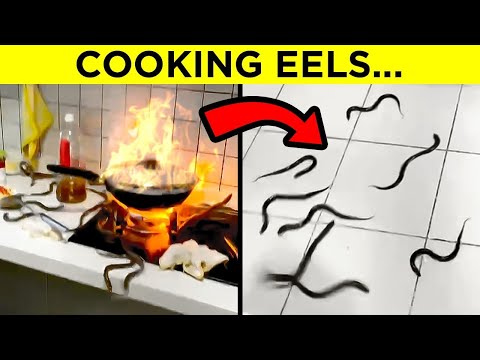 When People Do Stupid Things - Part 3