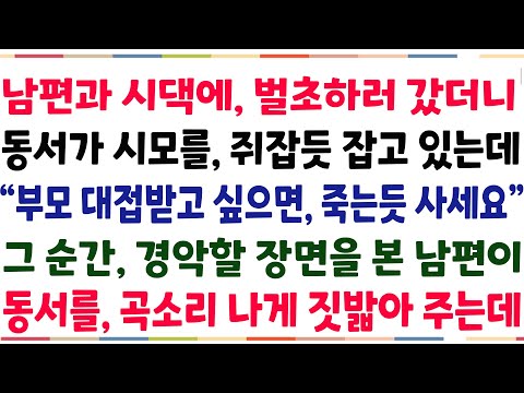 (반전신청사연)남편과 시댁 벌초하러 갔더니, 동서가 시모를 훈계하고 있는데 "부모 대접받고 싶으면, 조용히 사세요1" 기막힌 장면을 본 내 남편이[신청사연][사이다썰][사연라디오]