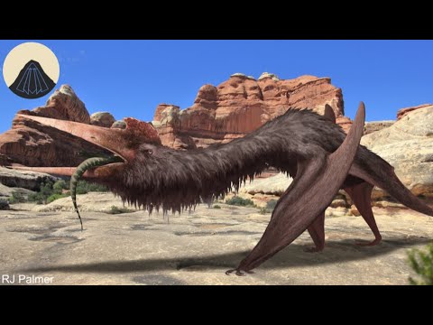 Quetzalcoatlus the Largest land Predator that Flew