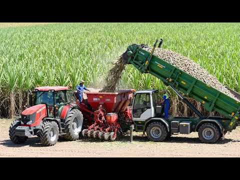 Sugar Mill Production Line Explained | Sugarcane Crushing to White Sugar Refining (Full Process)