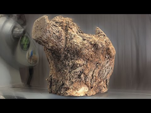 The Wild Edge of Woodturning – Mulberry Like You’ve Never Seen It