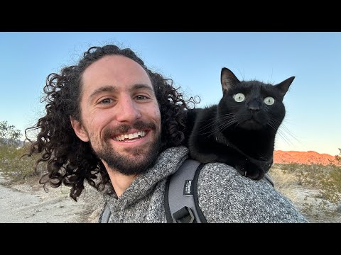 My cat is smarter than me (and my 3D Printer)