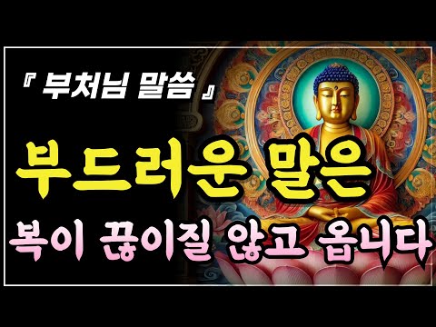 말이 부드러운 사람은 복을 품고 삽니다ㅣ법화경 언어의 공덕ㅣ부처님말씀ㅣ불교명언