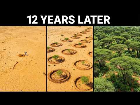 How Sudan Restored Millions of Trees With Simple Farmer Managed Natural Regeneration