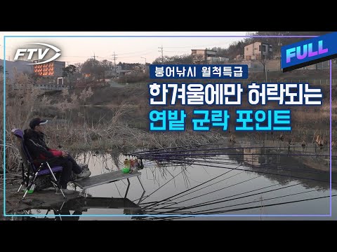 [Full] 한겨울에 맛볼 수 있는 연밭 군락 포인트에서의 마릿수 월척 [붕어낚시 월척특급/835회]