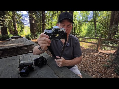 Did Nikon Just Release My Dream Camera? (Nikon Zf in Silver)