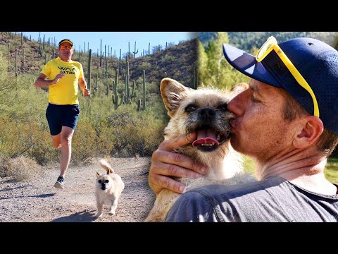 Ultramarathon Runner Rescues Running Dog