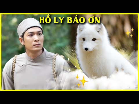 HỒ LY BÁO ƠN trọn bộ🦄🌈CỔ TÍCH FULL HD 2022✨Cổ Tích Việt Nam Gối Đầu Giường Mới Nhất THVL