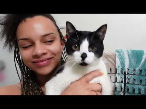 Chit Chat Knotless Braids Tutorial