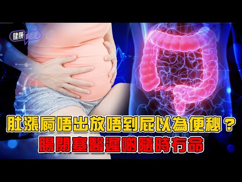 肚漲屙唔出放唔到屁以為便秘？ 腸閉塞醫遲啲隨時冇命 ｜ 健康關注組 ｜ EP475 ｜ 腸閉塞 ｜ 腹膜炎 ｜ 腸穿洞 ｜腸壞死 ｜腸癌 ｜ 黃芳雯 ｜ 吳雲甫 ｜ HOY TV 77台