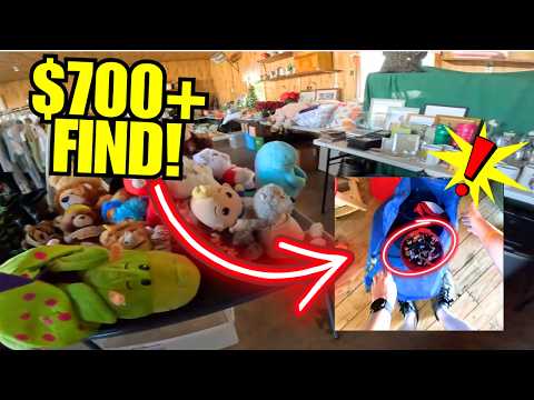 Buy These Immediately If You See Them!