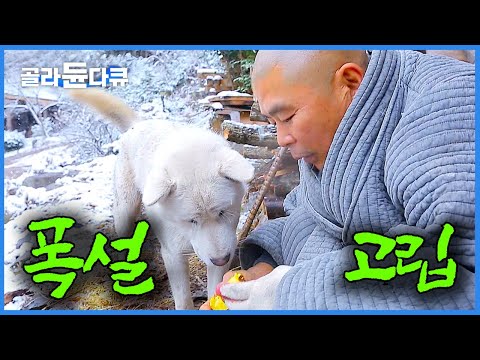 아무도 없는 겨울 산골 암자에 폭설로 스님과 강아지가 고립됐습니다!|한국기행|#골라듄다큐