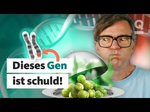 Warum ich Rosenkohl hasse | Quarks Dimension Ralph