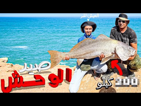 العيش الحر: صيد سمك الكوربين🤯بطريقة تقليدية💯 في علوات أخفنير 😱