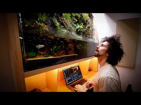 I Built a Desk with a Rainforest Inside