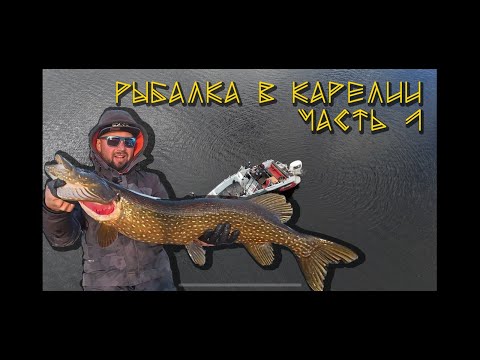 Рыбалка в Карелии — Часть 1 | Большие щуки и невероятная природа! 🐟