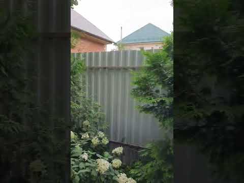 Подарить соседу 9 метров земли?