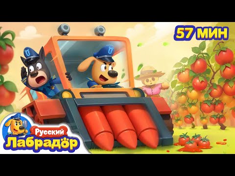 Машина-призрак на ферме | Безопасность в жизни | 🔍Популярный сборник мультиков | Шериф Лабрадор