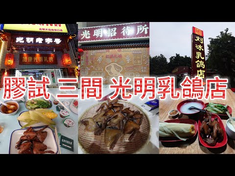 光明乳鴿🍗 | 一片試三店 | 光明招待所 |加康光明乳鴿 | 劉冰乳鴿店 [KEC81] Guangming Pigeon