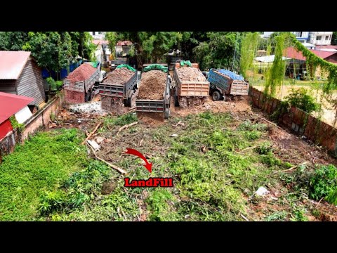 Amazing Bulldozer Starting PROJECT!! Quickly Working To Pushing Soils With 5-T DumpTruck Overloading