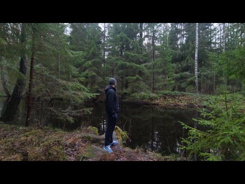 Поход из Украины 