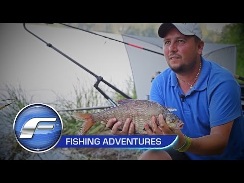 Рыболовные приключения. Часть 1: Десна. В поисках крупной рыбы