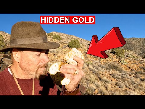 I Found a MASSIVE Abandoned Gold Mine Hidden Ore & Full Tour