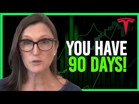Cathie Wood URGENT WARNING TO TESLA Investor's