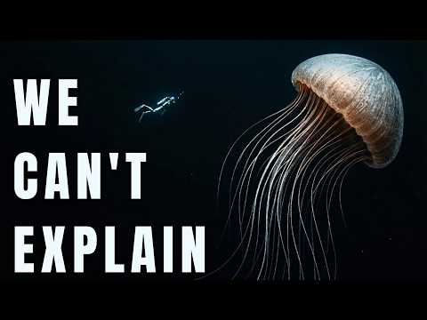 Nothing About The Greenland Shark’s Immortality Is Natural