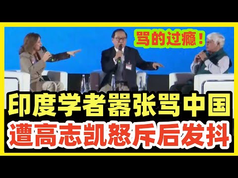 【中字】高志凯劈头盖脸，怒骂印度学者！强硬发言把阿三气得发抖！非常精彩辩论！