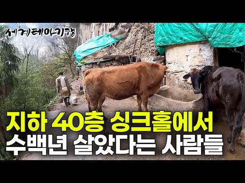 수백 년 동안 세상과 단절된 채 지하 40층 거대한 싱크홀 속에서 먹고 살았다는 사람들｜세계테마기행｜#세테깅