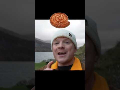 Cumberland Sausage 🌭 New Video Now Live On Our Channel