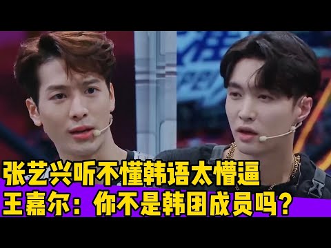 张艺兴听不懂韩语全程懵逼！王嘉尔迷茫：你不是韩国男团出道的吗？！#王一博#张艺兴#韩庚#刘宪华#王嘉尔#黄圣依#张萌