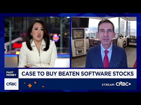 Software stocks will rebound from AI scare, says D.A. Davidson's Gil Luria