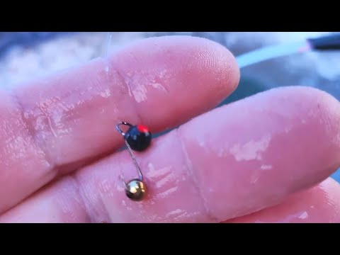 This SHOT-BALL works wonders!!! And they said: There are no fish...Fishing 2023-2024