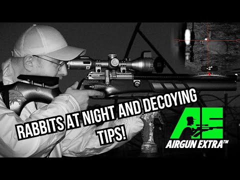 Airgun Extra | Rabbit hunting at night | How to decoy magpies and crows