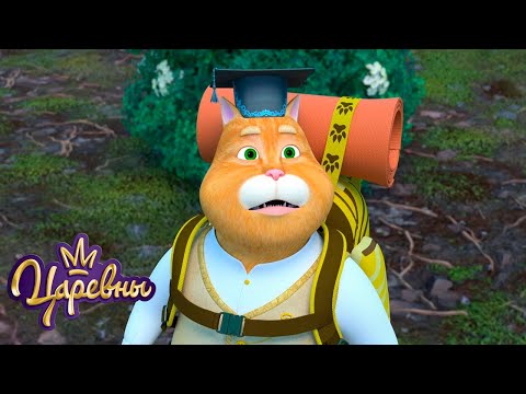 Царевны 👑 Поход ⛺⛺⛺ Сборник мультиков для детей